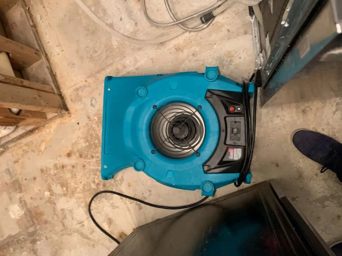 Air mover drying equipment for Mold Remediation & Removal in Powell